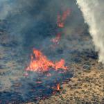 Western Washington may see higher number of wildfires