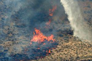 Western Washington may see higher number of wildfires