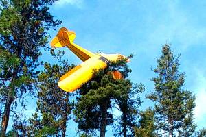Pilot rescued from plane that crash-landed atop Idaho tree