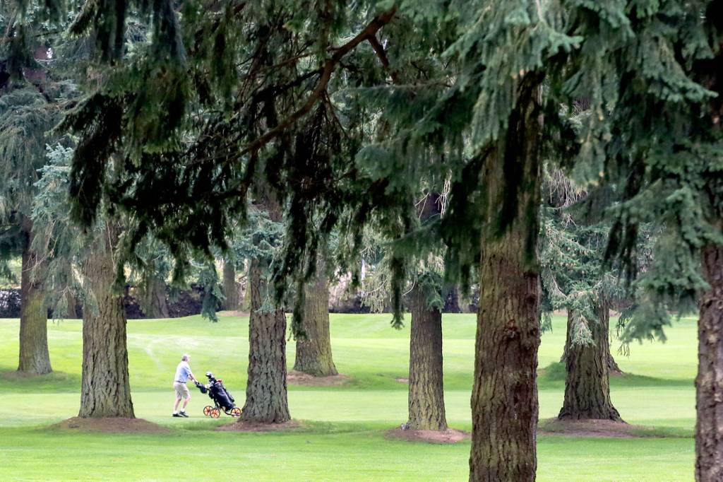 The 10th green of Everett Golf and County Club is seen on April 21. (Kevin Clark / The Herald)