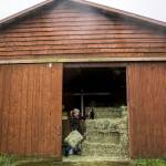 Rita Comfort pets Mr. Smith, the barn cat, at the <a href="https://www.heraldnet.com/life/find-comforts-of-whidbey-at-this-idyllic-estate-on-the-island/" target="_blank">Comforts of Whidbey</a> property on Jan. 9 in Langley. (Olivia Vanni / The Herald)