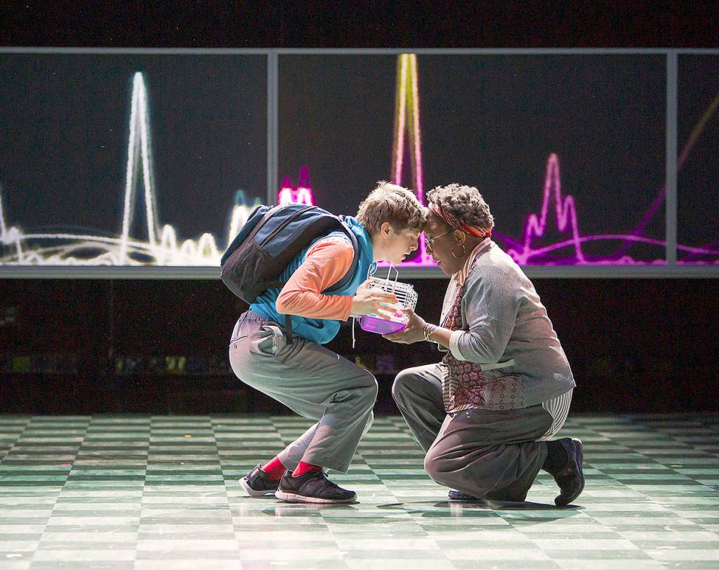 Michael Krenning is Christopher and Jéhan Òsanyìn plays Siobhan, Christophers teacher, mentor and friend, in The Curious Incident of the Dog in the Night-Time. The show continues through May 19 at the Everett Performing Arts Center. (Tracy Martin/Village Theatre)