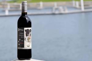 Here’s where to find some of the best Northwest wines