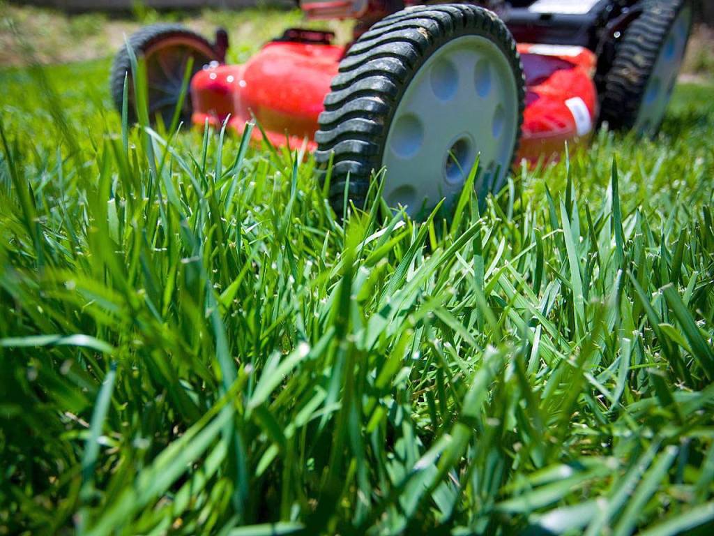 Steve Smith recommends sharpening your lawn mowers blade and raising the mowing deck to 2 inches. (courtesy photo)