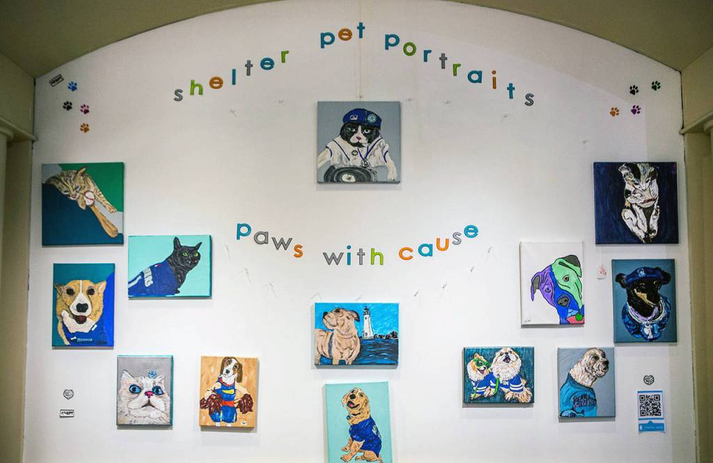 Recently painted pet portraits hang in the new Paws With Cause storefront at the Everett Mall. (Olivia Vanni / The Herald)