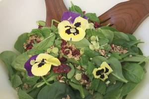 With ‘Game of Thrones’ ending, it’s time for a proper feast