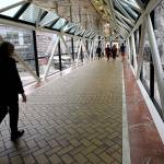 Millennial Money: ‘Tidy up’ so each dollar sparks joy