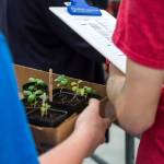 Students use clipboards to do orders at the plant sale. (Olivia Vanni / The Herald)