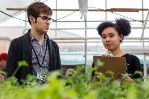 Prices are dirt-cheap and service is top-notch at plant sale