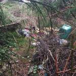 Before the work began, the land was strewn with trash and blackberry bushes. (Kimberly Kelley)