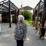 Dianna Biringer walks through one of the last Biringer Farm structures on Spencer Island. In this roofless old barn, where several scarecrows are hanging around, kids once enjoyed the The farms annual Pig Out. All the buildings will soon be torn down. (Dan Bates / The Herald)