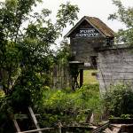 Fort Coyote, a ramshackle building on the former Pig Out grounds, will soon be gone. A Port of Everett project is preparing to turn the former Biringer Farm into marshland. (Dan Bates / The Herald)