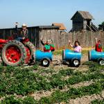 ‘Strawberry Lady’ will miss life and home on Spencer Island