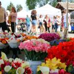 Fresh flowers dot the landscape and mark market season during the Snohomish Farmers Market on Thursday afternoon. (Kevin Clark / The Herald)