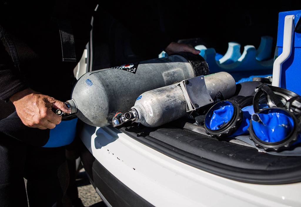 Drew Collins pulls out a 40-pound air tank that he carries on his back while diving at Bracketts Landing Park North in Edmonds. (Olivia Vanni / The Herald)
