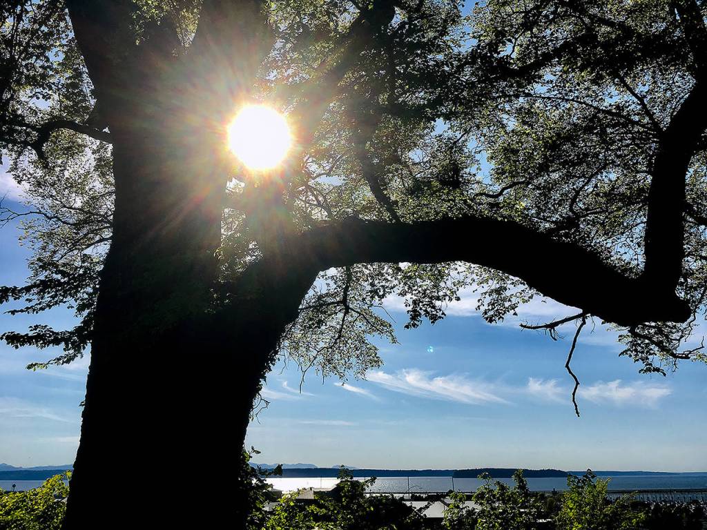 The afternoon sun goes down over Possession Sound on Thursday, as seen from Grand Avenue Park in Everett, as the temperature hit 80 degrees. (Sue Misao / The Herald)