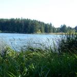 Dog dies after exposure to toxin at Jefferson County lake