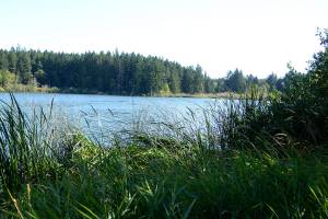 Dog dies after exposure to toxin at Jefferson County lake