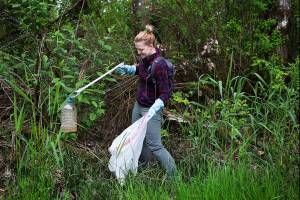 Sara Thein, organizer for Clean Up Washington, pulls out as liter bottle from the woods as she picks up trash along the Lowell Riverfront Trail on Tuesday, May 14, 2019 in Everett, Wash. (Andy Bronson / The Herald)