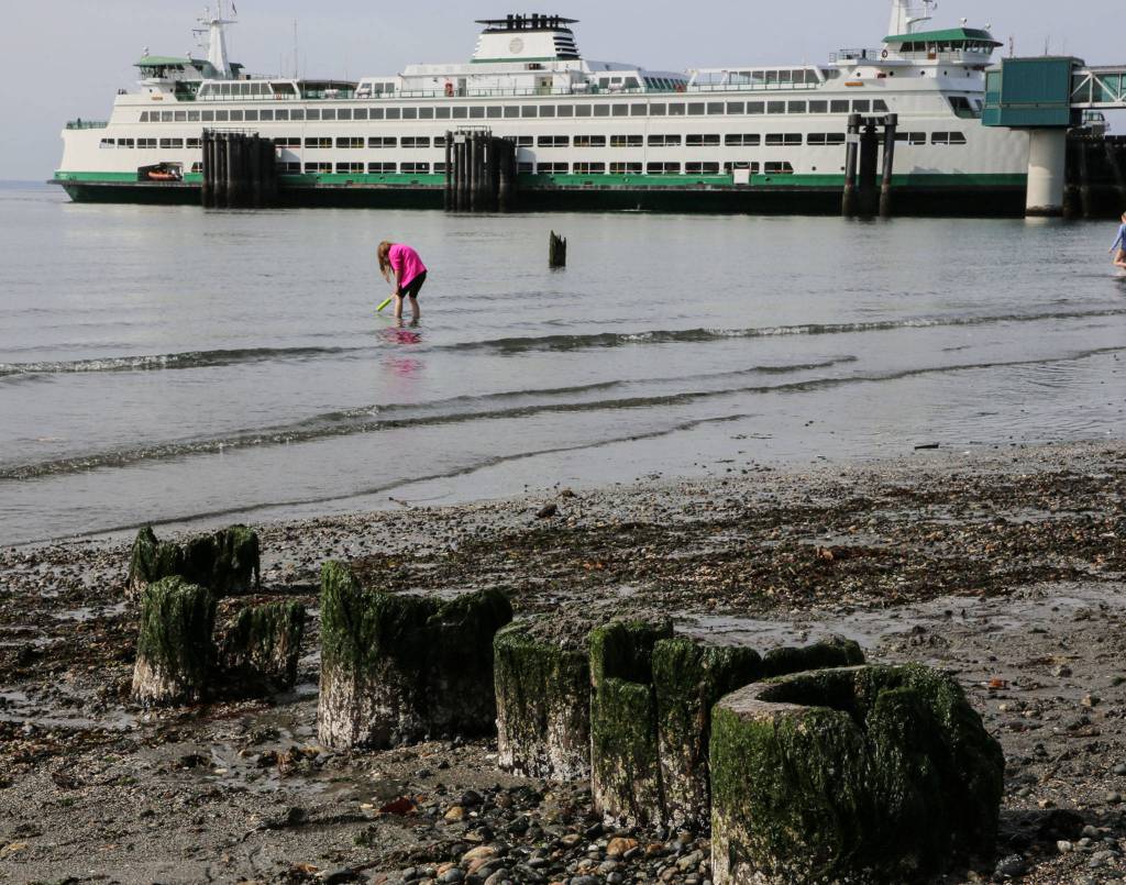 Olympic Beach in Edmonds on May 12. (Kevin Clark / The Herald)