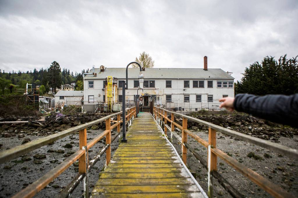 Paul McElhany points out how far the new building will extend past the current building at Northwest Fisheries Science Centers Mukilteo Research Station on April 23 in Mukilteo. (Olivia Vanni / The Herald)
