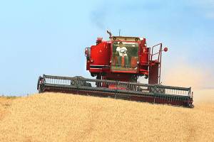 Tariffs have varying fallout in trade-heavy Washington state