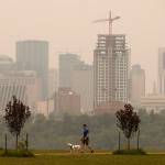 A person walks their dog as smoke blankets the city from nearby wildfires, in Edmonton, Alberta, Canada on Thursday. More people are being forced from their homes as several wildfires rage out-of-control in northern Alberta and blanket areas to the south in an acrid haze. (Jason Franson/The Canadian Press via AP)