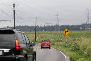 When dips appeared on Marsh Road where it curves between Seattle Hill Road and Highway 9 in April, one reader thought water was the culprit. (Lizz Giordano / The Herald)