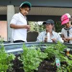 Jamie Boyd (left), a second grader at College Place Elementary School, carefully places seeds with her mom, Larissa Boyd, and sister, Kalliope Boyd, during a recent planting party. (Lizz Giordano / The Herald)
