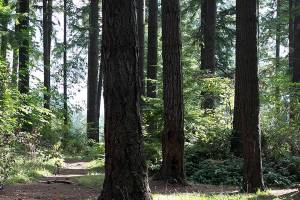 An urban oasis in Edmonds is getting a facelift