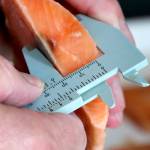 Is your fish stick more bread than fish? Inspectors can tell