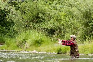A fisherman wades the waters of Sultan River at Sportsman Park in Sultan on June 05, 2019. (Kevin Clark / The Herald)