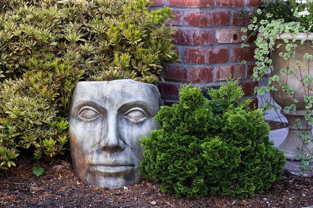 A facial sculpture rests among bushes and shrubs at the Astrof home. (Andy Bronson / The Herald)
