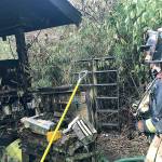 Woman hurt, three cats dead after Lynnwood house fire