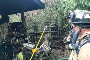 Woman hurt, three cats dead after Lynnwood house fire