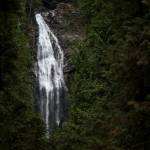 The Upper Falls is visible through trees at Wallace Falls State Park near Gold Bar on Sept. 17, 2015. (Ian Terry / Herald file)