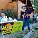 Gina Erdmann, director of the Oregon SunGrown Growers Guild, sets up a sign-in table for the monthly meeting of marijuana growers in the old Williams Grange in Williams, Oregon, on June 25, 2015. Oregons Legislature on Tuesday passed a bill that empowers the governor to enter into agreements with other states for the interstate transfer of marijuana, once the federal government allows it. (AP Photo/Jeff Barnard, File)