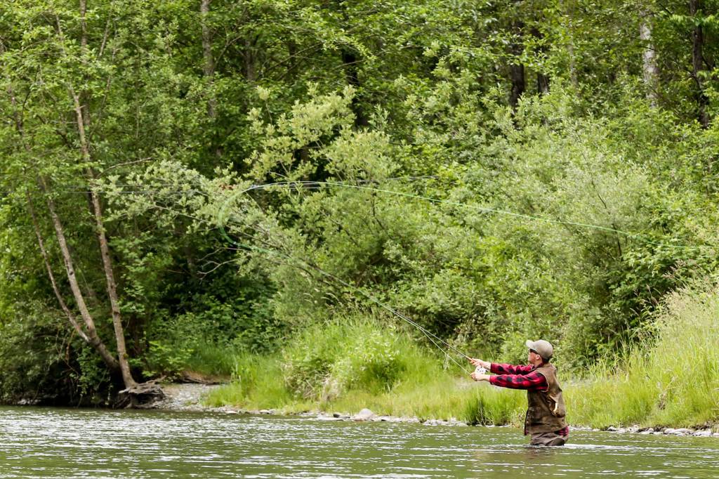A fisherman wades the waters of Sultan River at Sportsman Park in Sultan on June 5. (Kevin Clark / The Herald)