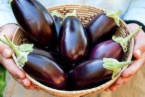 Renees Garden                                 Little Prince eggplants from Renees Garden, the seed company of gardening entrepreneur Renee Shepherd. Its line of container-garden seeds are sold at independent nurseries and garden centers.