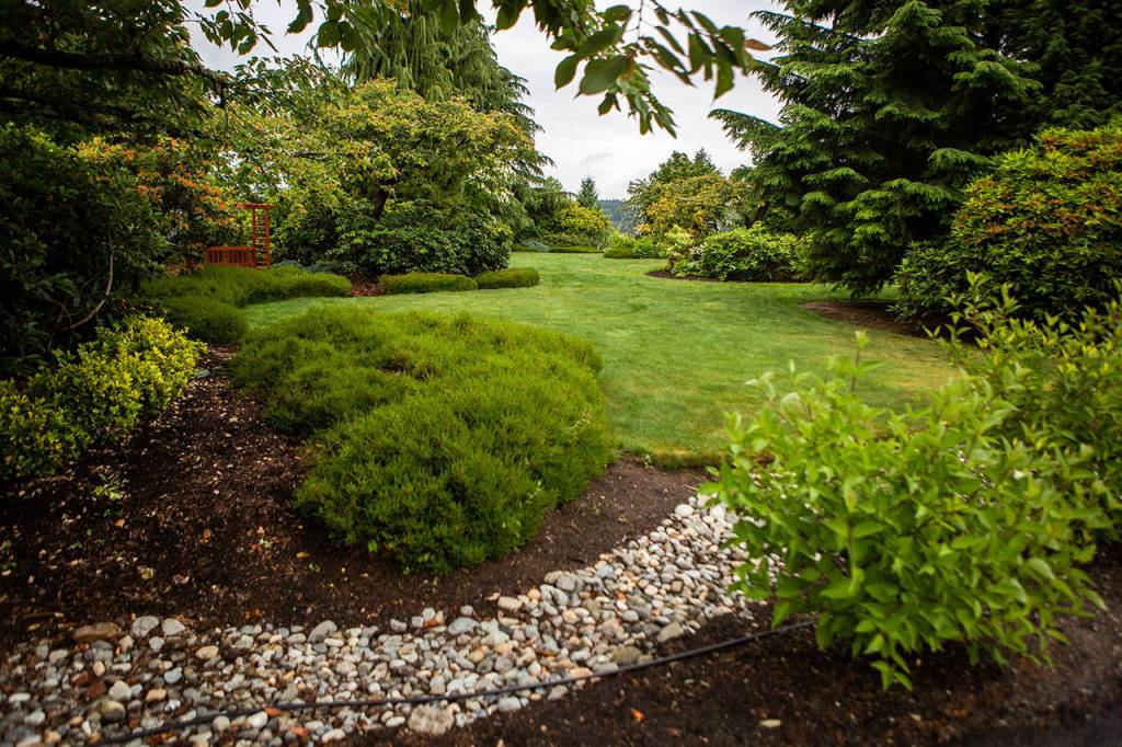 The Hopes garden sits on almost a full acre of land that offers views of Mount Pilchuck, Three Fingers and Mount Baker. (Olivia Vanni / The Herald)