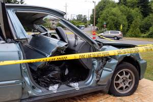 Put down your phone and keep your eyes on the road — or else!