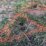 German tourists run over, killed at Washington swimming hole