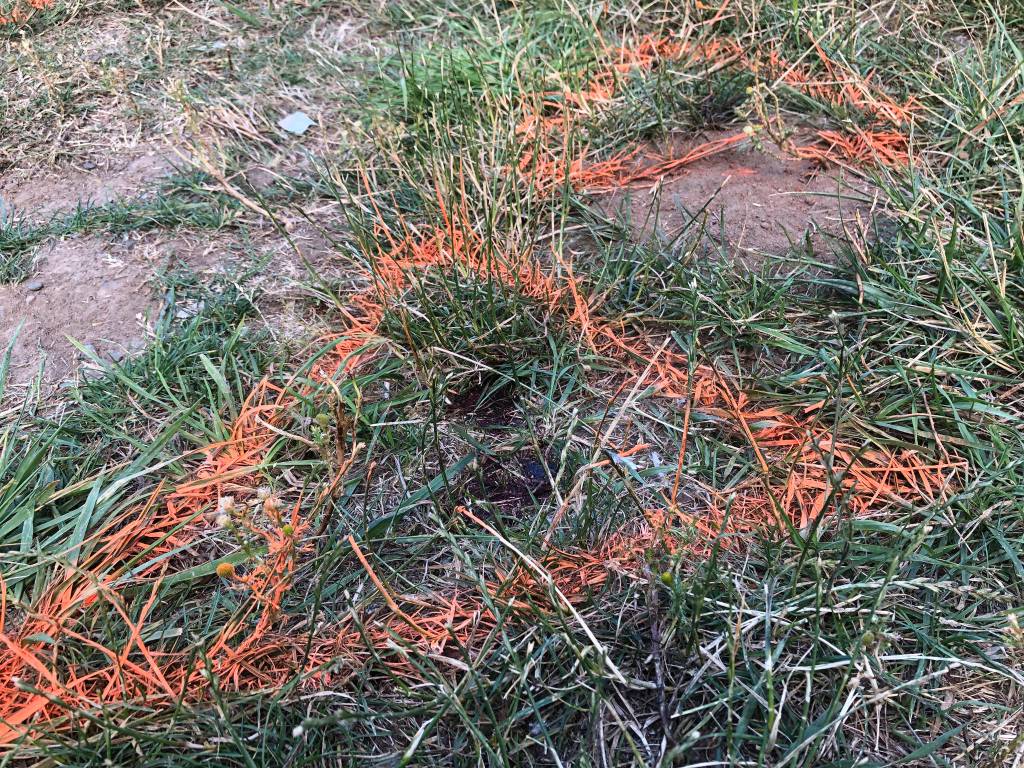 German tourists run over, killed at Washington swimming hole