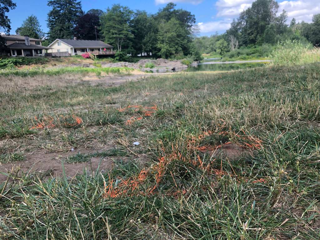 German tourists run over, killed at Washington swimming hole