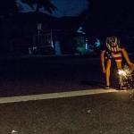 South County Fire makes another pitch to ban fireworks