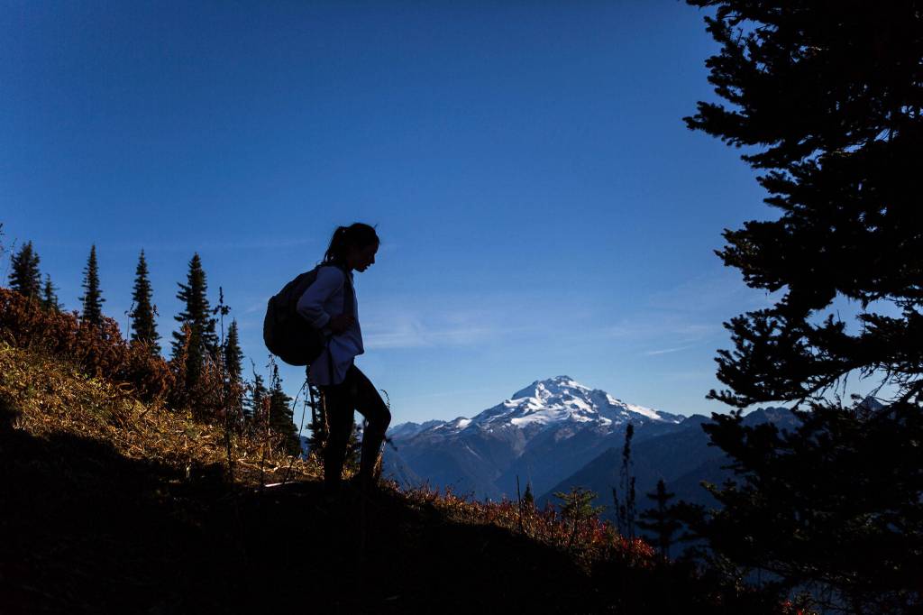 Montana Hawksford takes a break on during a hike to Green Mountain Lookout on Oct. 15, 2018 in Darrington. (Olivia Vanni / The Herald)