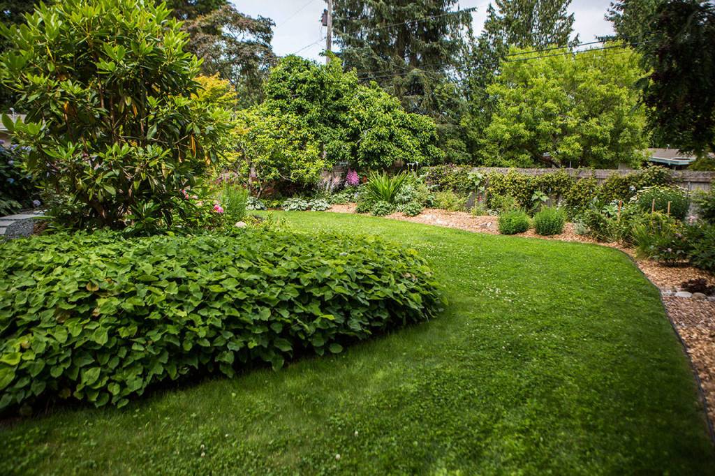 A strip of lawn leads to a side garden. (Olivia Vanni / The Herald)