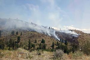 Everett man, 18, arrested after fireworks spark a brush fire