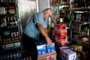 Can the little guy survive the Lake Stevens Costco?
