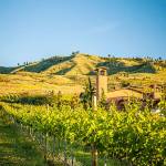Tsillan Cellars overlooks the south shore of Lake Chelan and continues to prove that the young American Viticultural Area ranks among the top wine regions in Washington. (Richard Duval Images)